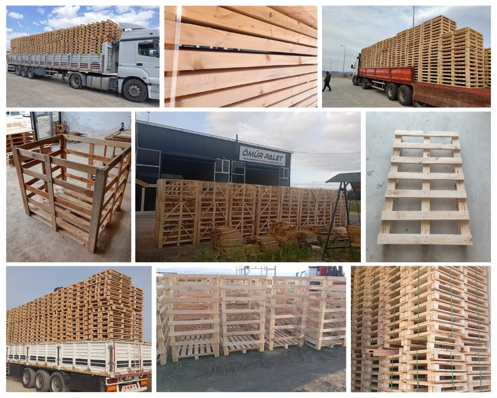 Arnemuiden Houten Kisten, Europallets Groothandel Kopen